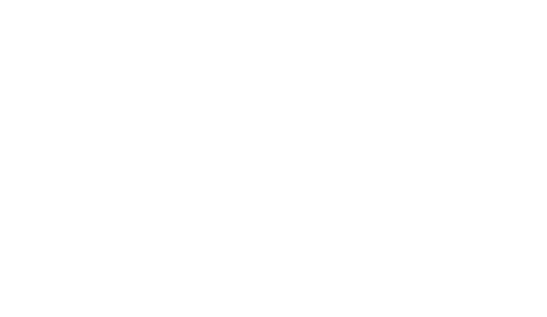 CaseMed Solutions White Logo